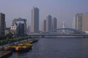 伊東市と周辺に詳しい不動産会社